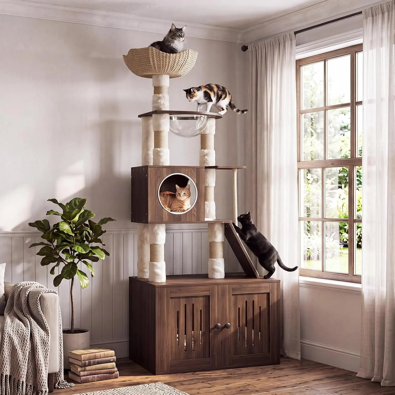Tacleekii 66.9