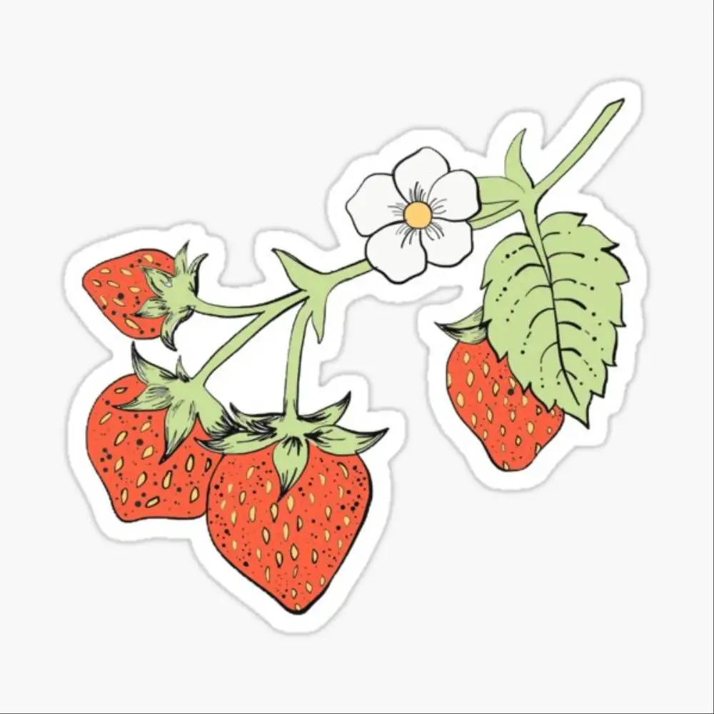 Autocollants imperméables à motif de fraise pour décorer les vitres de voitures, les motos et les ordinateurs.