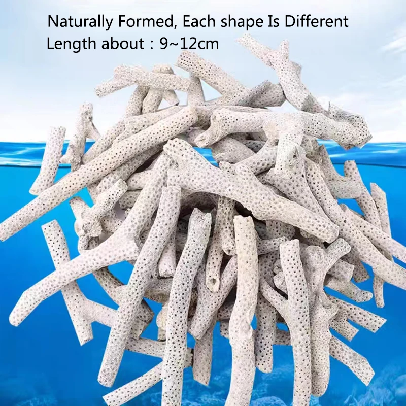 Filtro de acuario de hueso de Coral Natural de alta calidad, material biológico medio, arena de Coral para PH estable, filtración de pecera