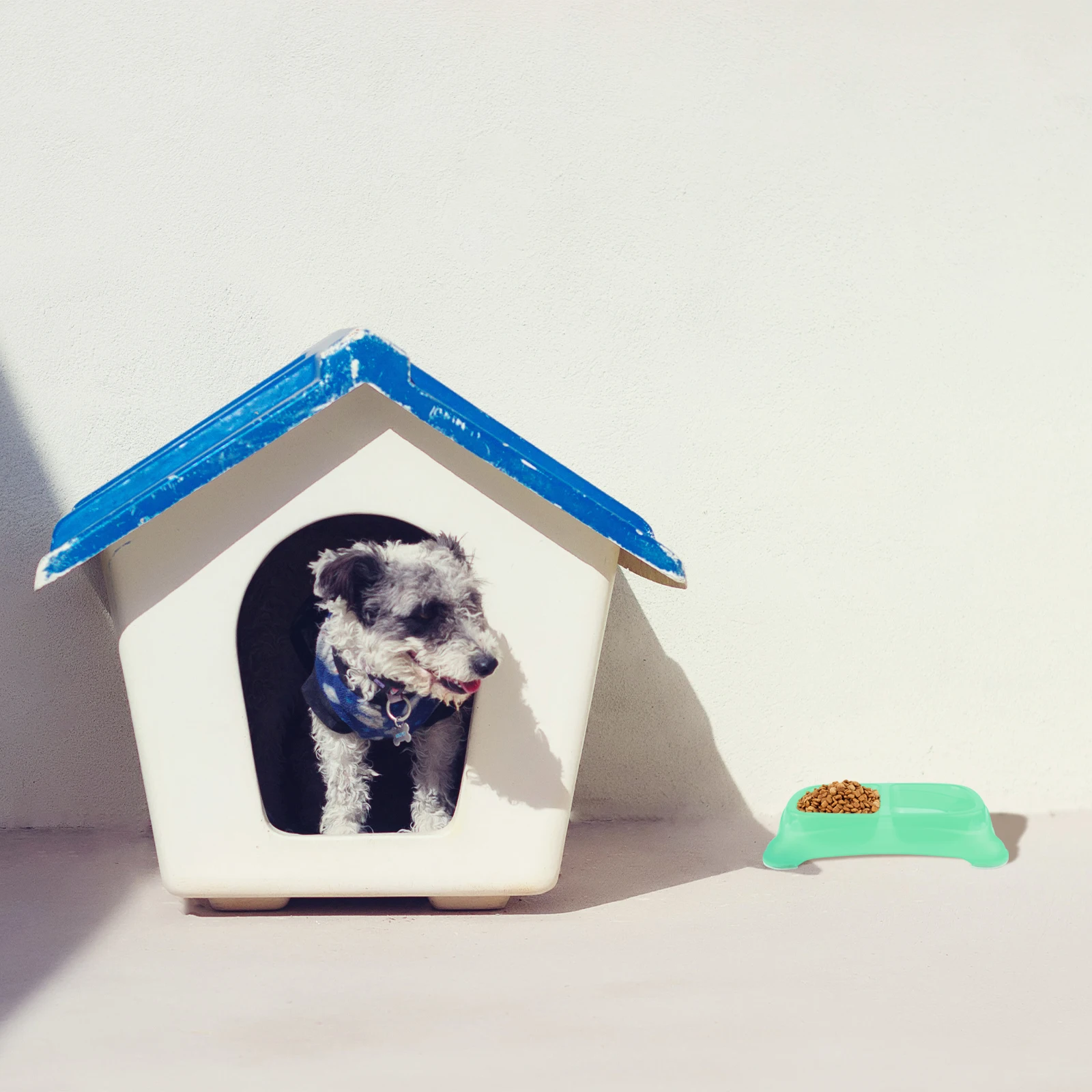

Pet Feeder Dog Feeder Double Dog Bowl Pet Feeder Bowl Pet Bowl