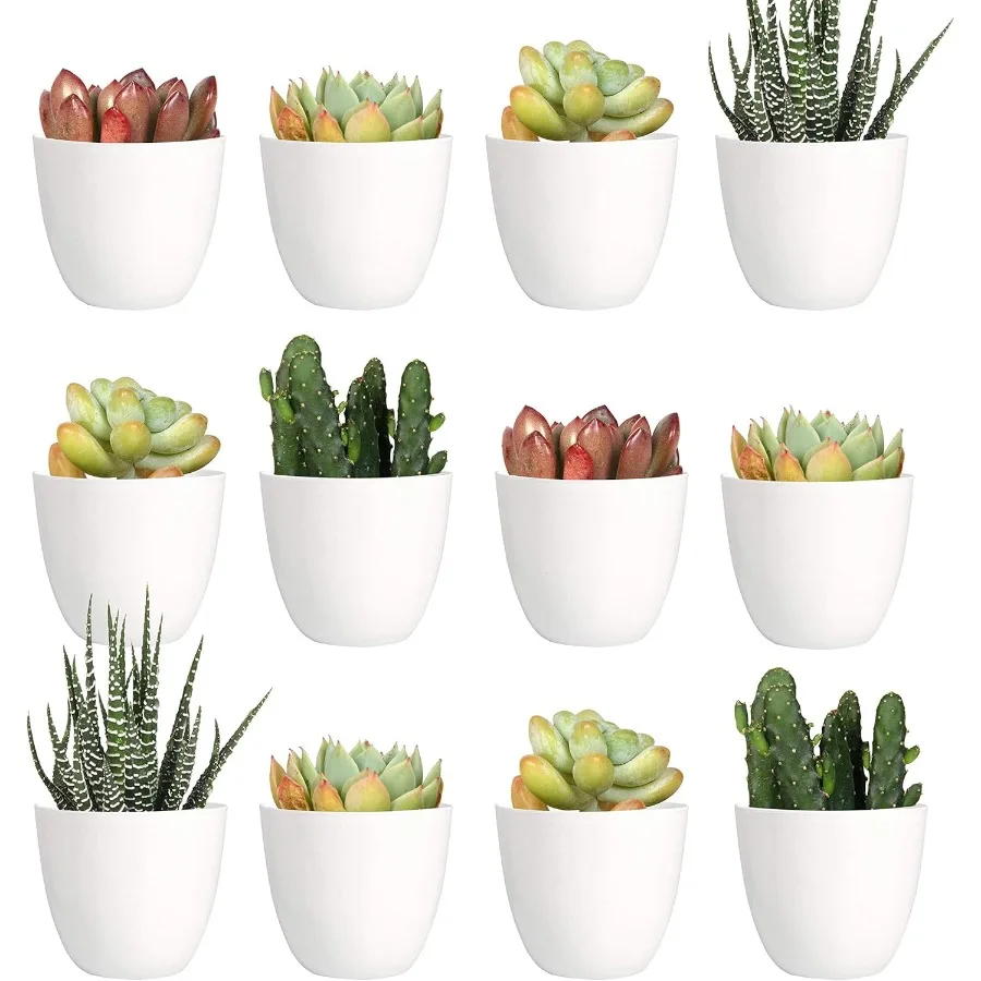 

24 Pack 2 Inch Mini Plastic Planters Indoor Flower Plant Pots White Gardening Pot with Drainage NO Plant Included Modern