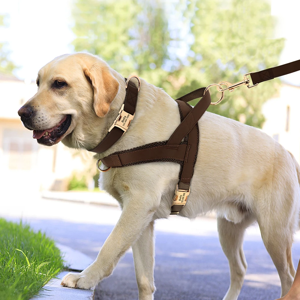 Guinzaglio personalizzato per collare per cani Set di guinzagli collari per cani personalizzati senza tiranti gilet per animali domestici per cani