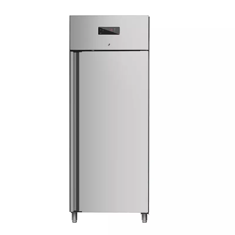 

Single door vertical refrigerator/freezer for kitchen use Commercial refrigerator