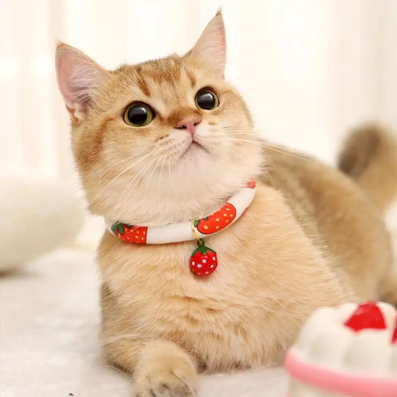 

Cat Collar Dog Neck Collar Neck Ornament Neck Neck Necklace Bell Cat Neck Collar Baby Cat Accessories Pet Accessories