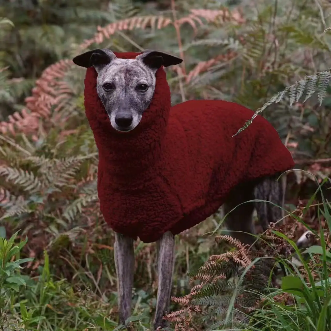 Winterlicher orangefarbener Fleece-Pullover für Whippet-Hunde, hochgeschlossener, dicker, warmer Sweatshirt mit Ärmeln für ungarische spanische Windhundkleidung – Detail 13