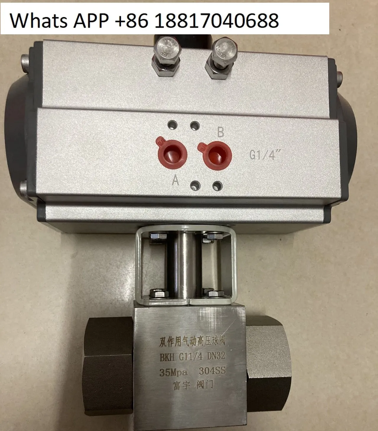 Pneumatic Actuator …