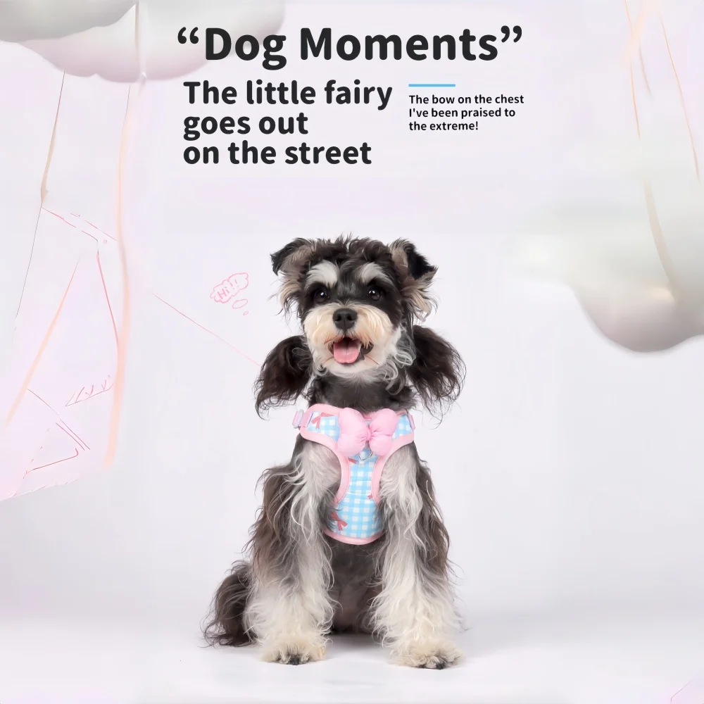 Cute Bow Decoration Adjustable Breathable Pet Sling and Leash Set Designed for Pets' Outdoor Walking Needs