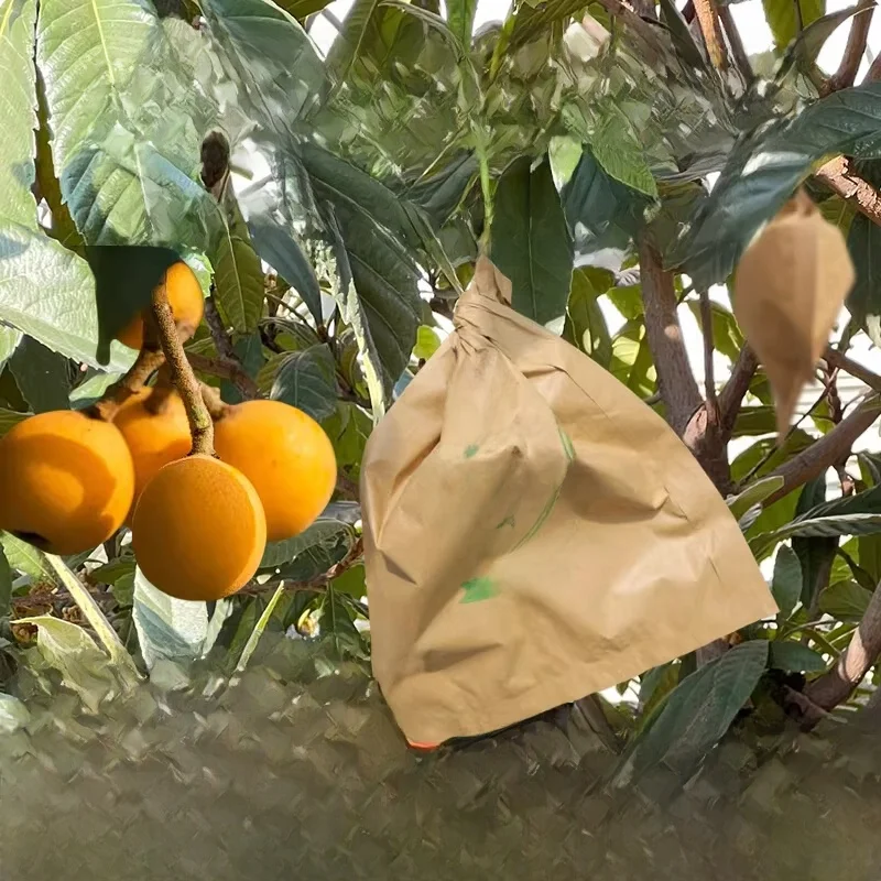 waterproof-bird-resistant-fruit-bagging-solution-for-loquat-pear-and-mango-vegetables-and-households-preservation-bag