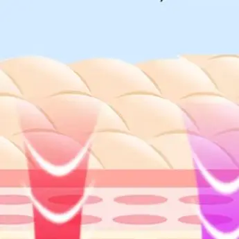 EMS جهاز رفع الوجه LED الفوتون العلاج الاهتزاز مدلك الوجه الوجه التخسيس إزالة الذقن المزدوجة الخامس خط رفع حزام العناية بالبشرة #2