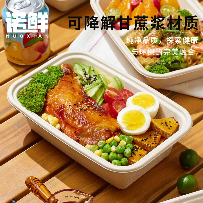 Custom Disposable Rectangular American Style Single/Double Compartment Paper Pulp Lunch Box Thickened Salad Takeout Food Contain