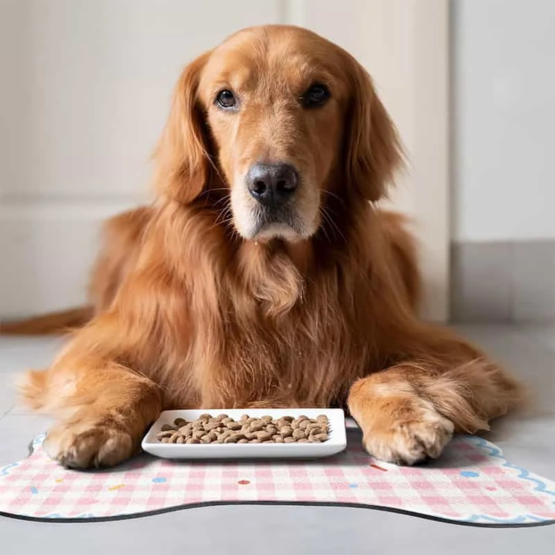 1pc Pet Feeding Mat Cute Irregular Pet Feeding Mat And Easy to Clean Creating Pet Dining Time Suitable for Medium And Small Dogs