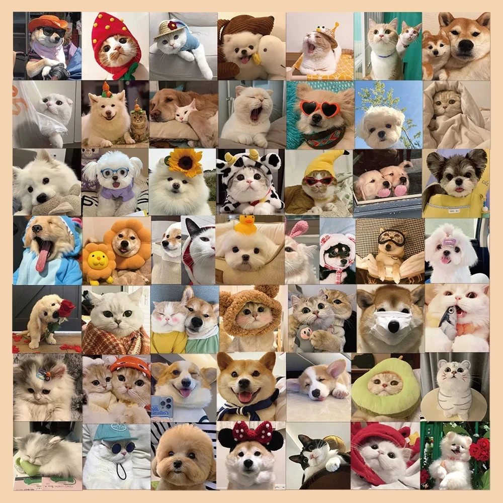 52PCS Nette Hund Katze MEME Aufkleber PVC Wasserdicht Aufkleber DIY Laptop Telefon Gepäck Stationäre Lustige Tier Aufkleber Spielzeug Geschenk