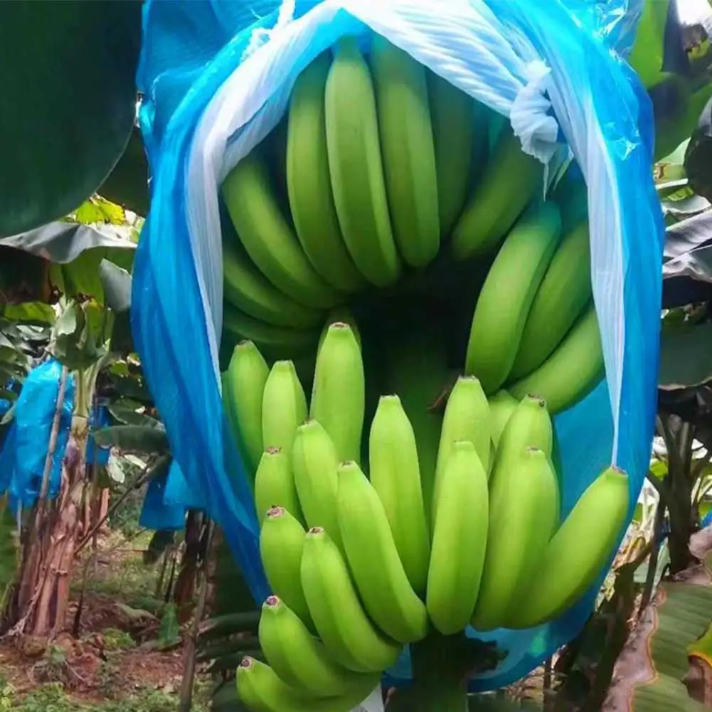 Banana-Fruit-Bunch Ripening Cover Heavy Duty Fruit Protector Bag For Winter