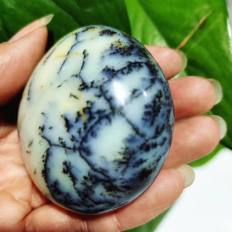 Natural Dendritic Opal Stone Trees Water Grass Crystal Palm Spiritual healing Crystals feng shui Room Decoration Home