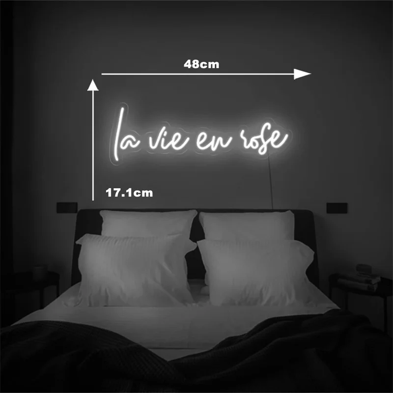 Imagem -02 - Luz de Sinal Led Neon para Quarto Pendurado na Parede Decoração Acrílica Decoração Estética Presentes para Meninas la Vie en Rose