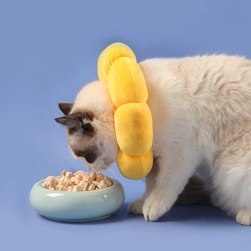 Surgery High-quality Comfortable Innovative Advanced Technology Safe Premium Material Cat Surgery Protection Collar Anti-bite