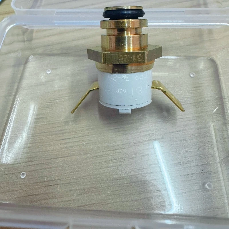 

new 1Pcs For KARCHER Steam Cleaner Accessories and Consumables SC3DSG2/2 Pressure Controller
