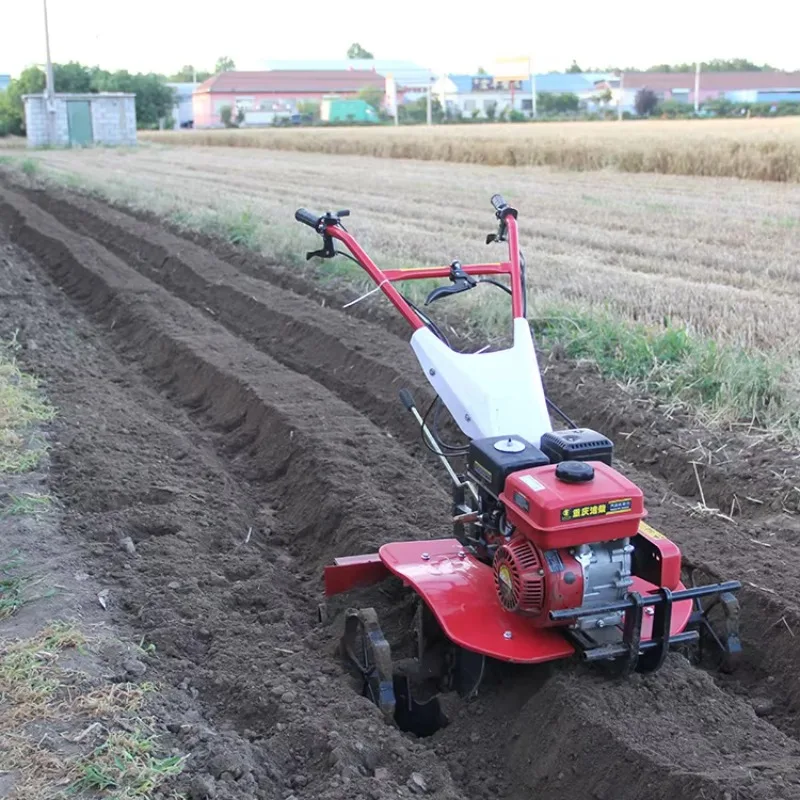 177 F/P Farm Machinery Home Use Lightweight Tiller Cultivator  12HP 10HP 9HP 6HP