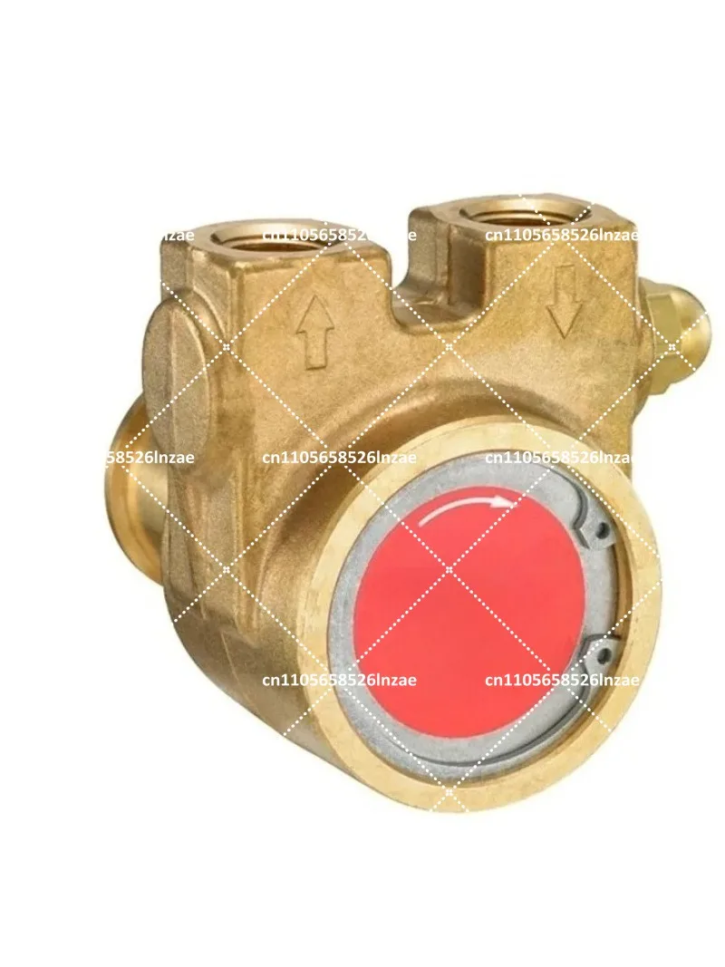 Electric High Pressure Water Pump for Home Garden Use