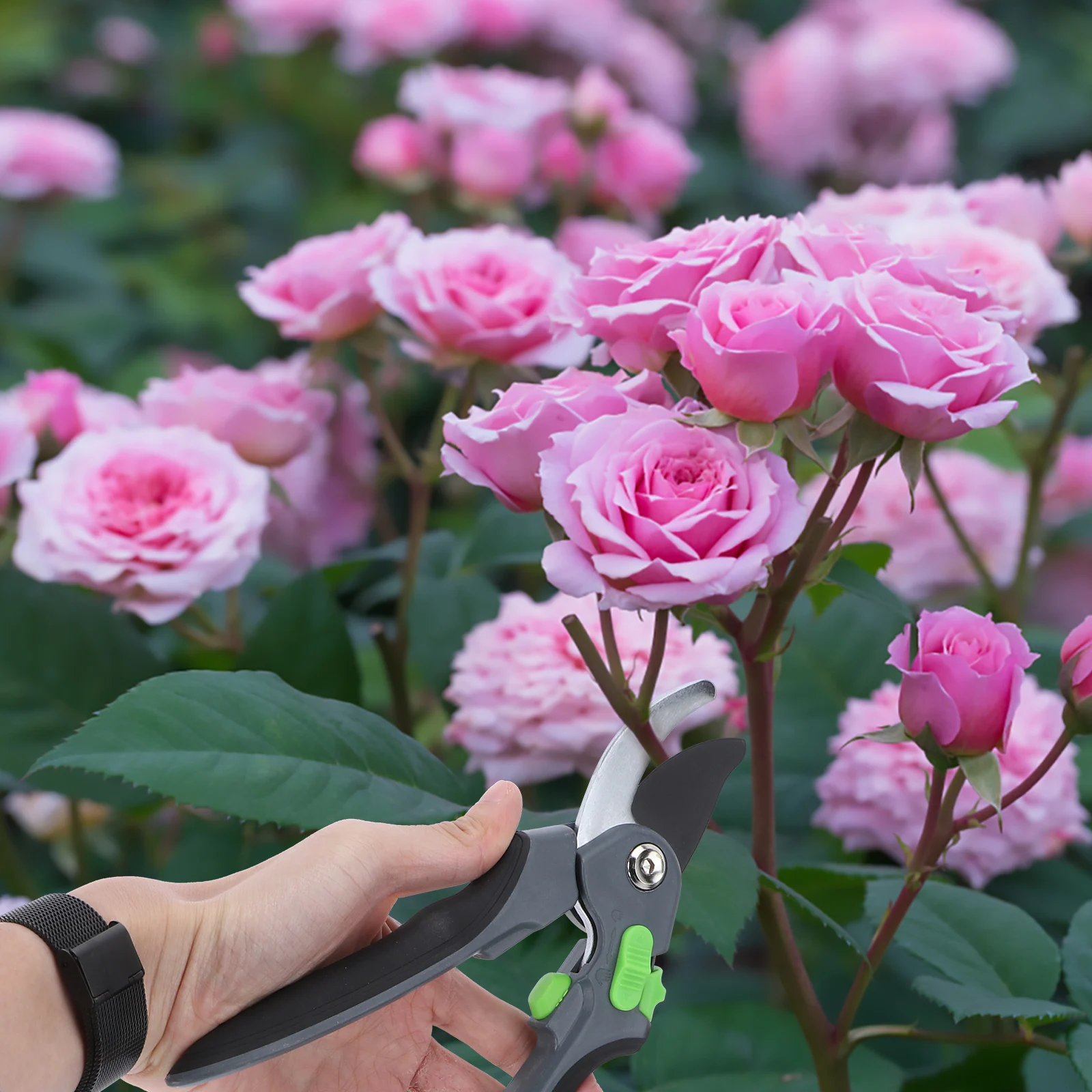 

Pruning Shears Gardening Scissors Trimmer High Efficiency Plant Tool Branch Cutter Pruner Accessories Yard Tools