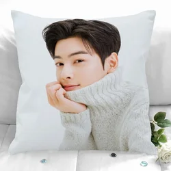 New Cha Eun Woo Pillowcases Printed Square Pillowcase Home Decorative Zipper Pillow Cover 35X35cm40X40cm Double-Sided