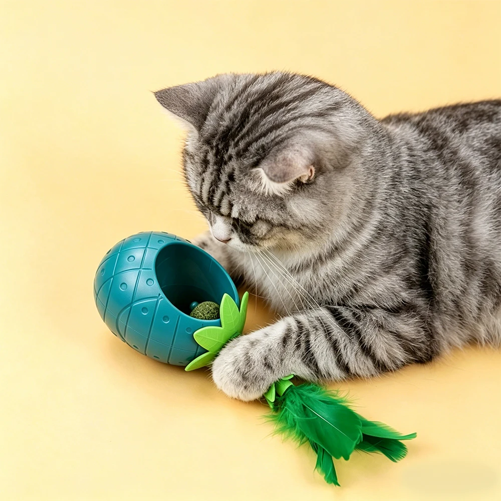 

Cat toy Self-righting Toy Feather Teaser Includes a Catnip Ball Cat Toy for Entertainment Feather Teaser