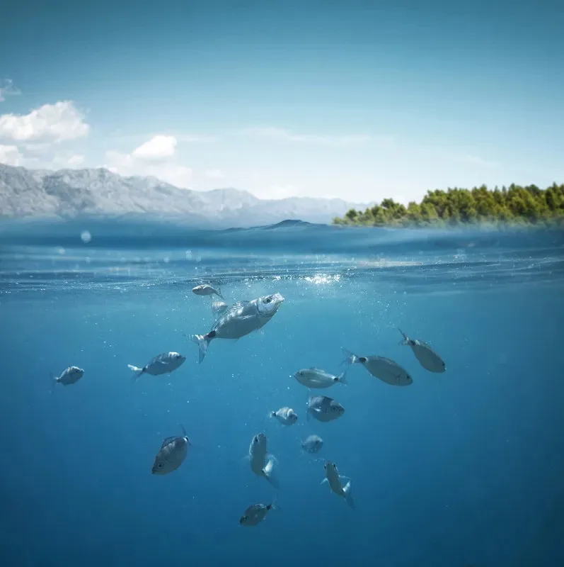 

Металлический 1.9-дюймовый диск Beadlock с глубокой полкой для колес 1/10 RC Crawler Car TRX4 Axial SCX10 90046 UTB18