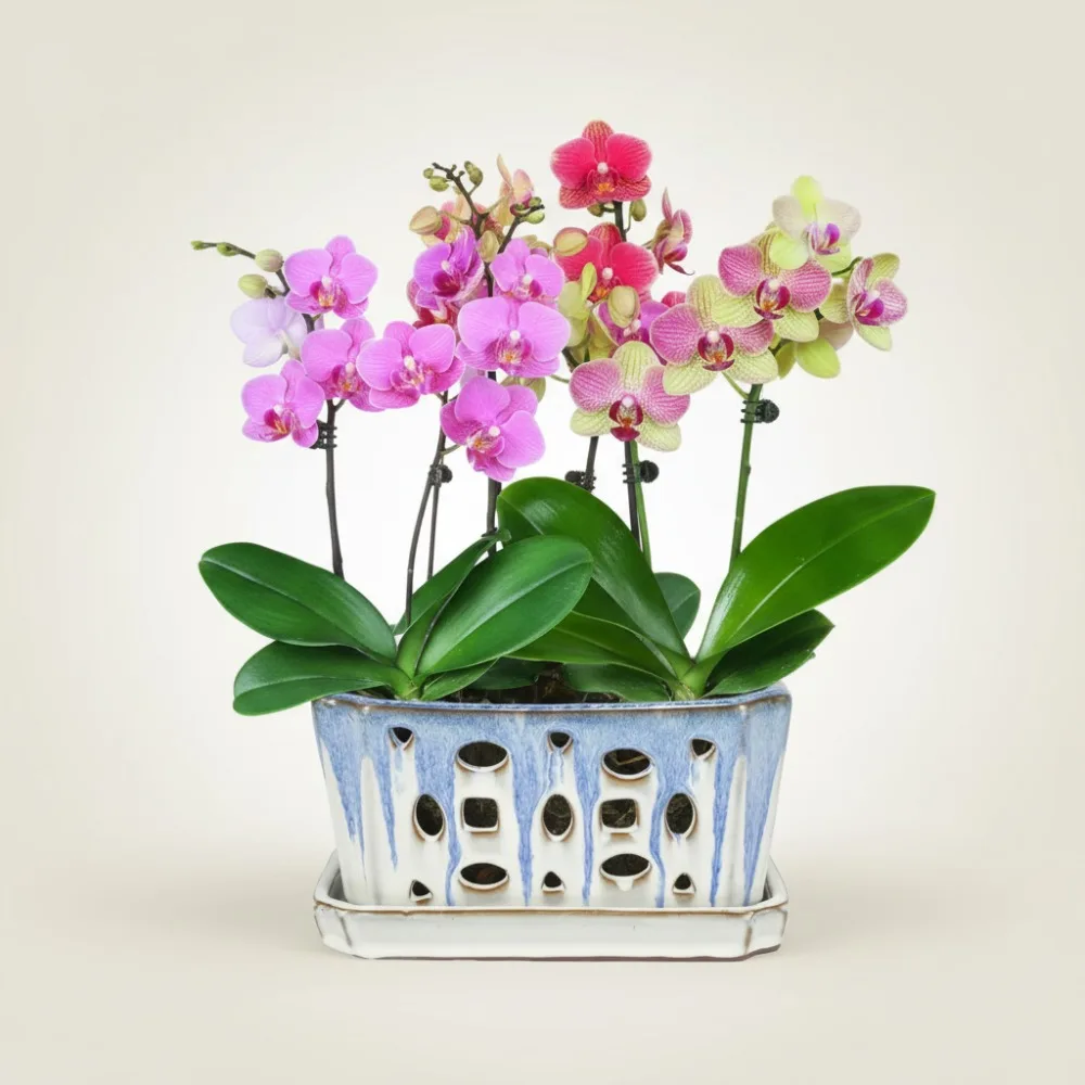 

Горшок для орхидей с дренажными отверстиями, 9-дюймовая глазурованная керамическая кашпо для комнатных наружных растений и цветов, синий и белый