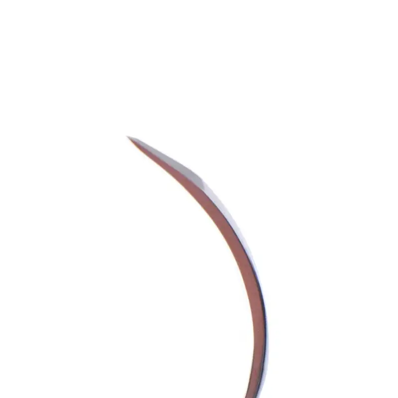 6/10 Stück chirurgisches Nahtwerkzeug, langlebiges Metall, 1/2-Ecknadel, Doppel-Augenlid, wissenschaftliches DIY-Zubehör – Detail 13