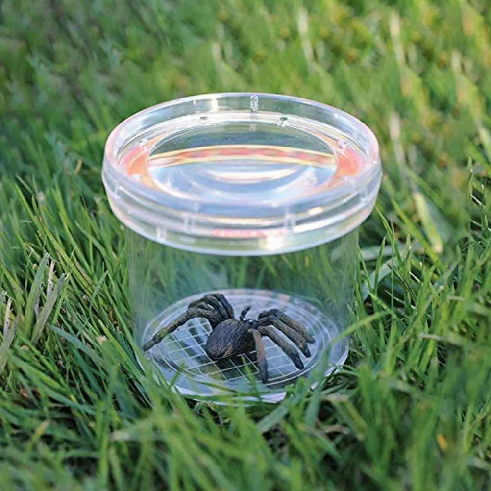

16Pcs Insect Observation Box Kids Critter Container Portable Plastic Magnifying Viewer Breeding Feeding Tool for Nature