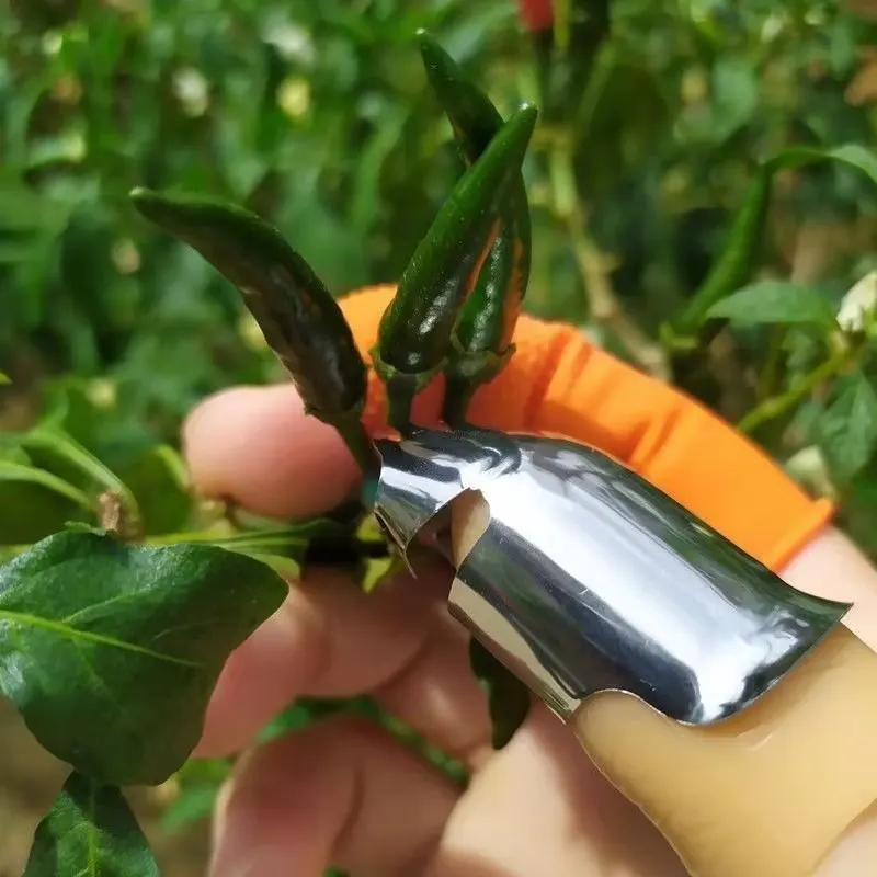 Thumb Knife Set, Fruit and Vegetable Picking Potted Plants Trim Picking Portable Knife, Garden Tools, Kitchen Utensils