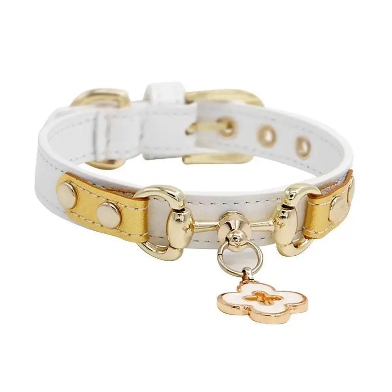 

White Pair Buckle Archel Pet Collar, Teddy VIP Schnauzer Collar Without Traction