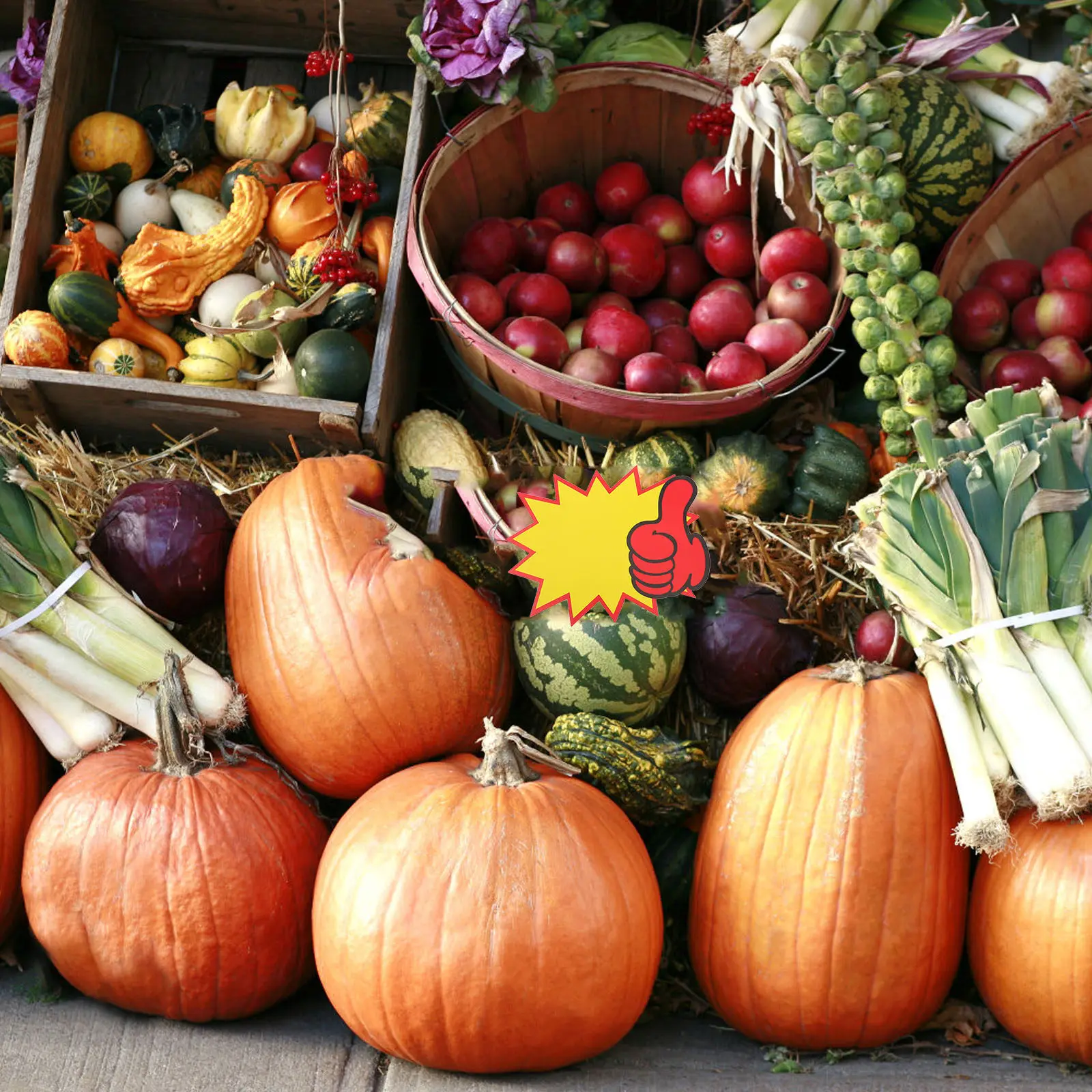 

100Pcs Reusable Erasable Price Tags Double Sided Writable Retail Display Tags for Stores Supermarkets Garage Sales Bright Border