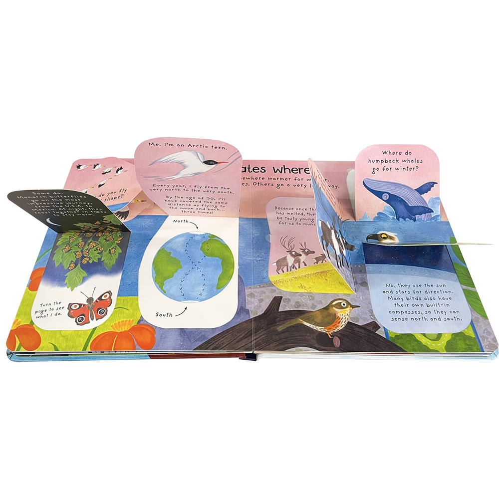 Where Do Animals Go In Winter Lift The Flap Usborne Book Kids Early Childhood Education English Cardboard Book Science Knowledge