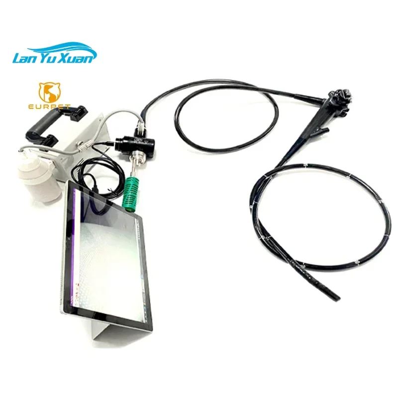 2025/EUR Pet Best P… - image