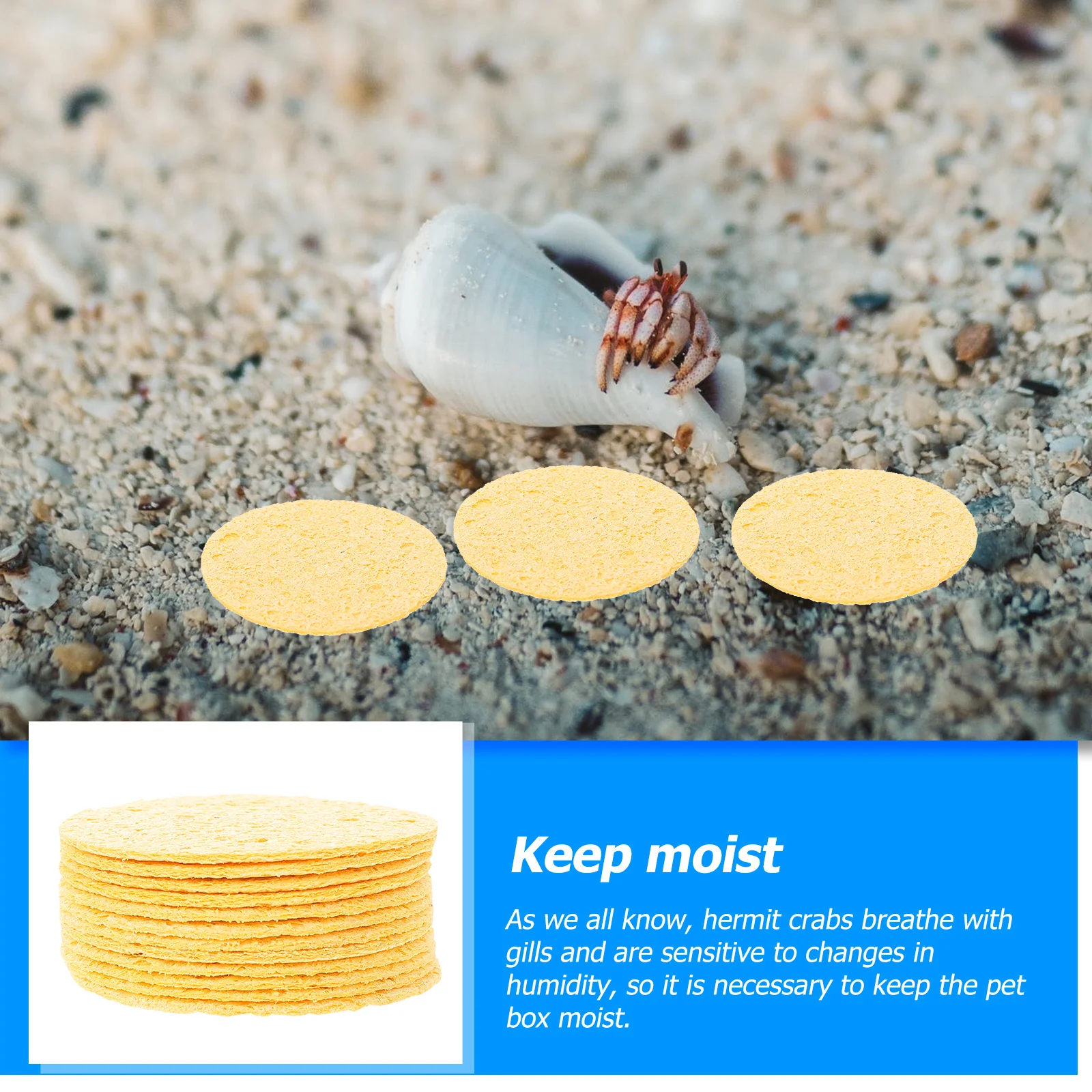 

12pcs Hermit Humidity Keeping Water Absorbent For Crab Habitat Cleaning Supplies Safer Drinking Sponge Crab Sea Sponge