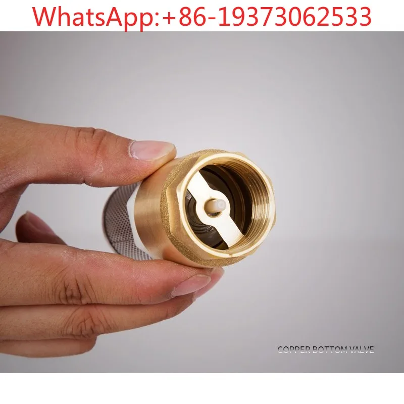 1 Inch Filter Copper Bottom Vertical Copper One-way Check Valve Relief Valve Double Door All Bottom with Filter Water Pump