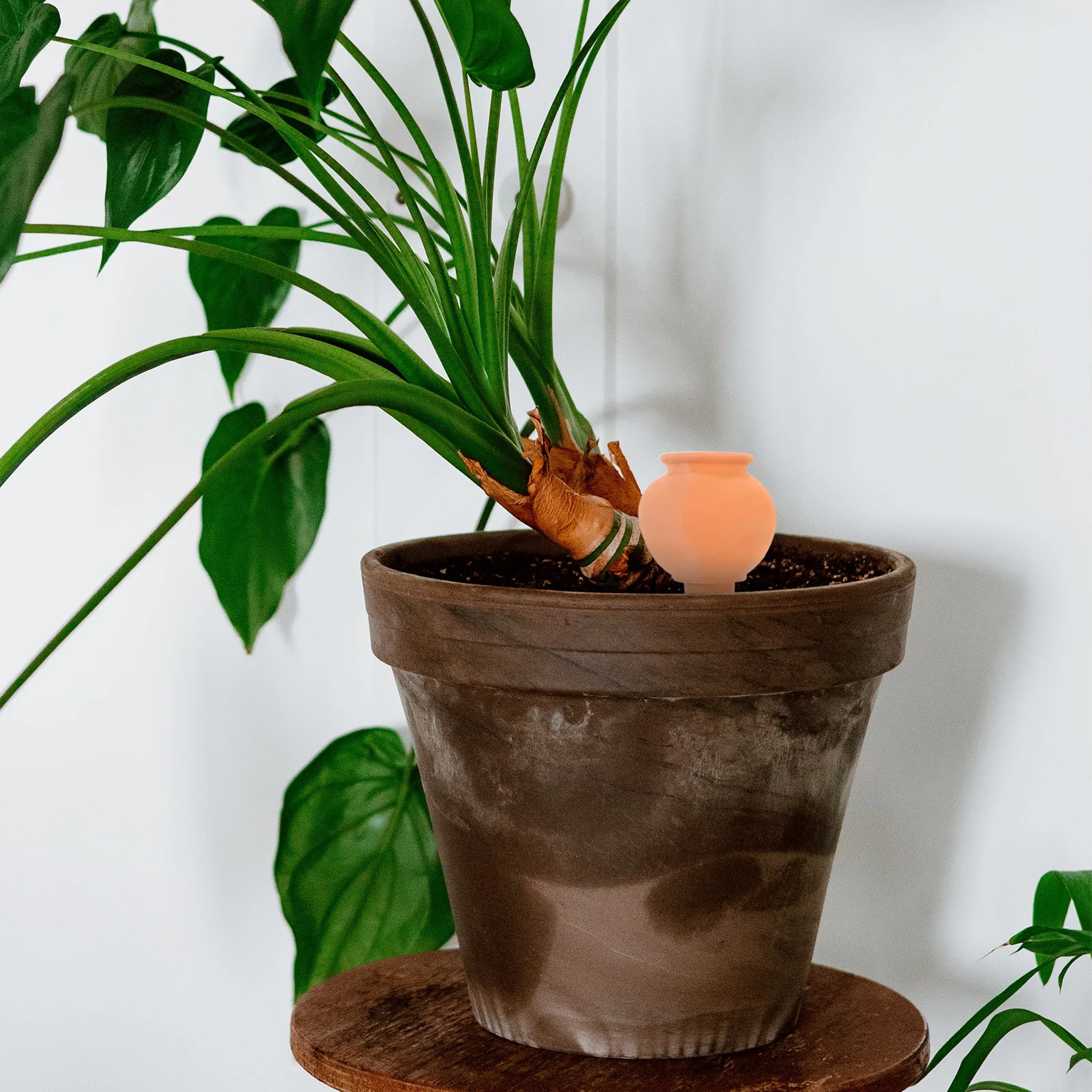 

Automatic Watering Spike Self Watering Ceramic Spike Drip Irrigation Stake Cactus Flower Pot Easy Install Auto Plant Water