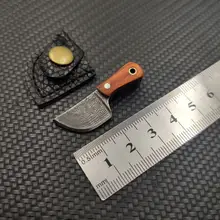 Mini Damascus Coating Kitchen Knife #3