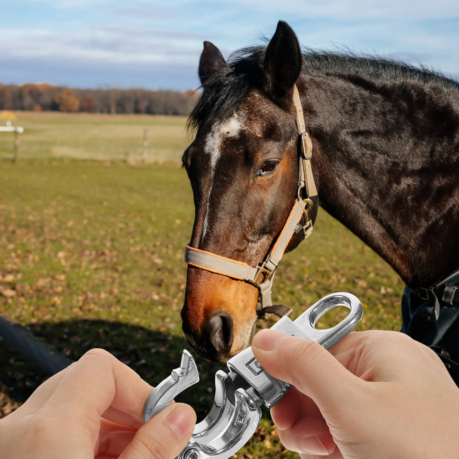 خطاف حصان سريع التحرير عين ثابتة معدنية لمعدات التدريب في الهواء الطلق للفروسية، ملحقات ركوب الخيل المتينة شديدة التحمل