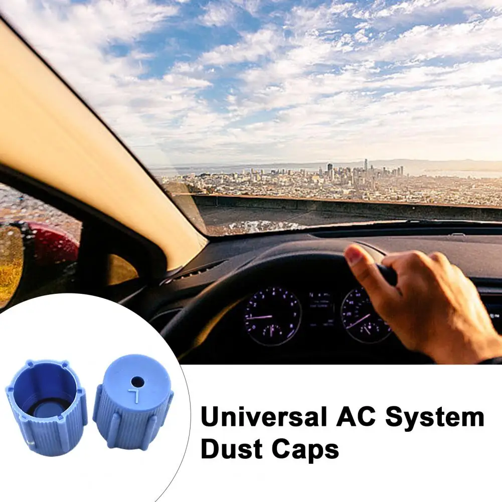 Dust-proof Caps for Car Ac Car Air Conditioner Dust Caps Set for Ac System Charging Port 10pcs R134a Cap A/c Service Kit