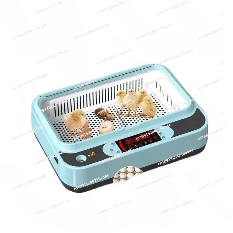 

Suitable for Incubator, Intelligent Small Household Incubator for Chickens, Ducks, Geese, and Pigeon Egg Hatching