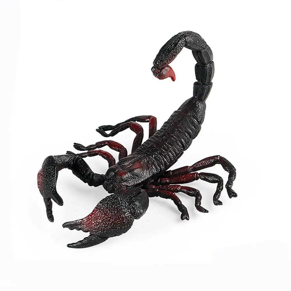 

Prank Props Science Nature Educational Toy Kids Cognition Scorpion Model Halloween Supplies Insect Figurine