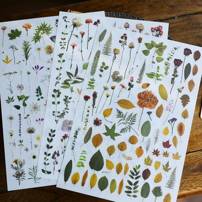 Plante feuilles fleur frotter sur autocollants esthétique Scrapbooking Journal déco transfert autocollant Album Journal toile décoration bricolage artisanat