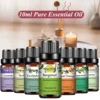 PHATOIL Pure Aromatherapy Essential Oil (10ml) 1