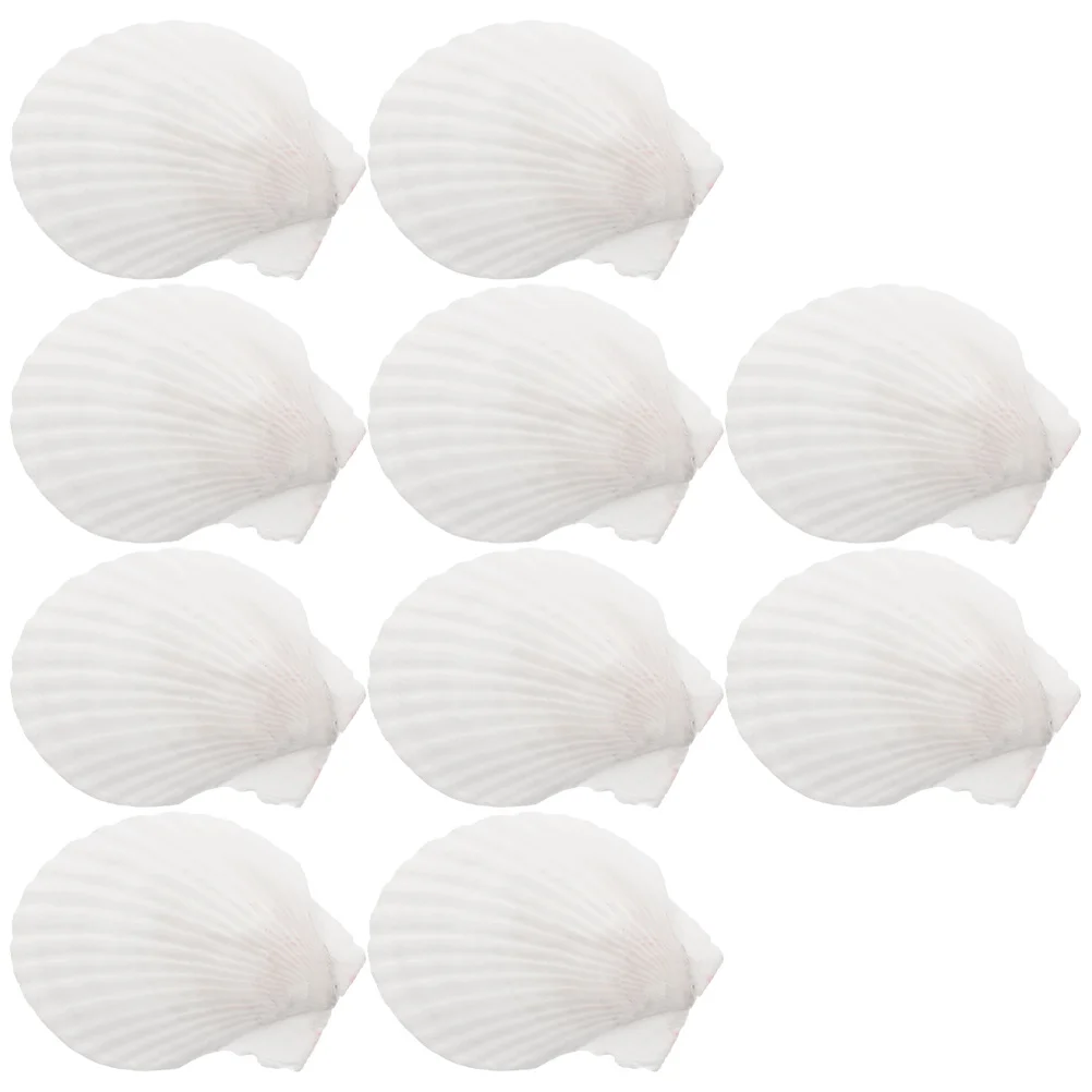 

10Pcs Shell Plates Scallop Shape Natural Dinner Plate for Barbecue Party Fruit Snack Tray Home Use Sea Shell Food Serving Dish