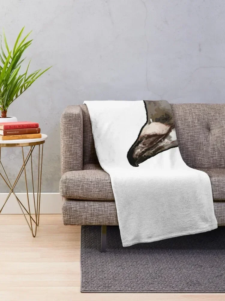 Brian the Pigeon Throw Blanket For Decorative Sofa Soft Flannels christmas gifts Blankets