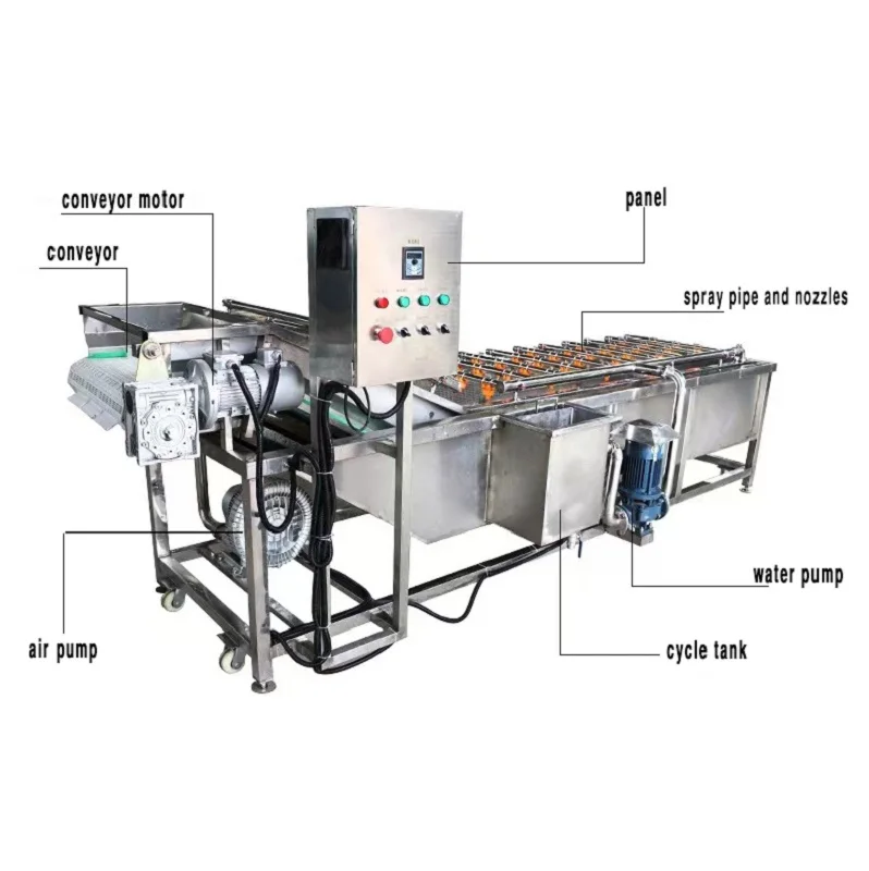 معدات تنظيف الفواكه والخضروات، معدات تنظيف الفقاعات التجارية، معدات تنظيف البصل #5