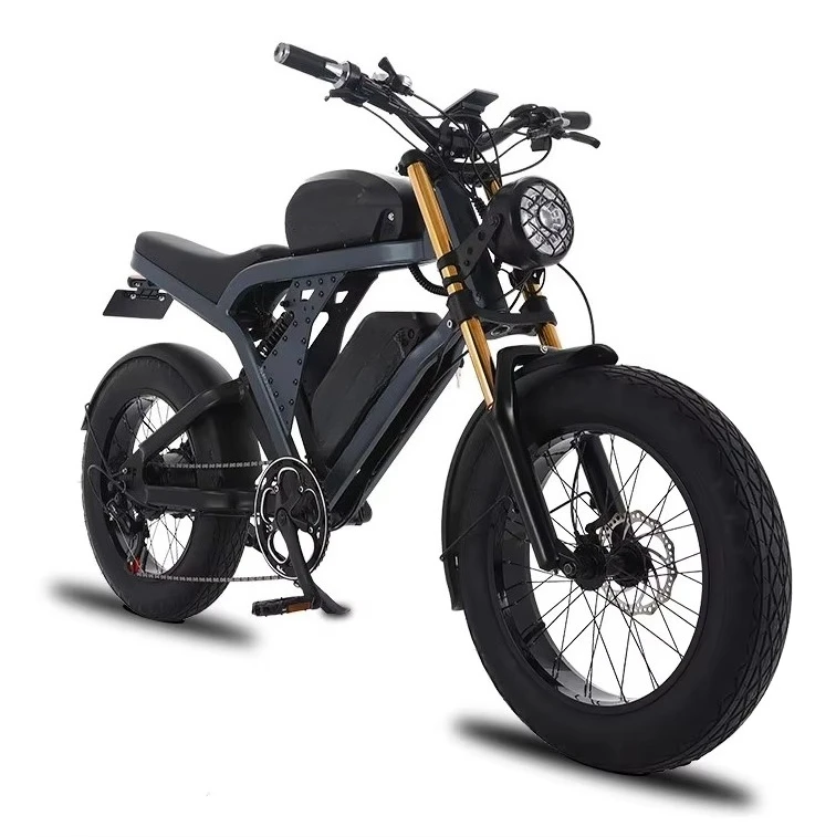 

Super Model Fat Tire Electric Mountain Bike With Full Hydraulic Fork 1500W 48V36/41AH Dual Battery Ultra-long Range