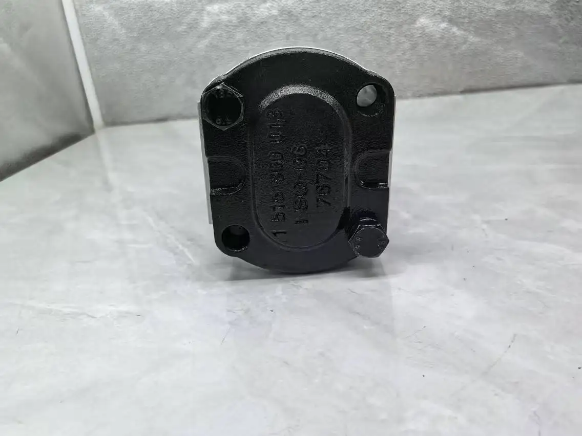 Bomba hidráulica de aceite OEM, 00815075